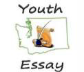VFW Youth Essay
