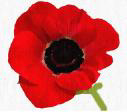 Buddy Poppy Sign-ups